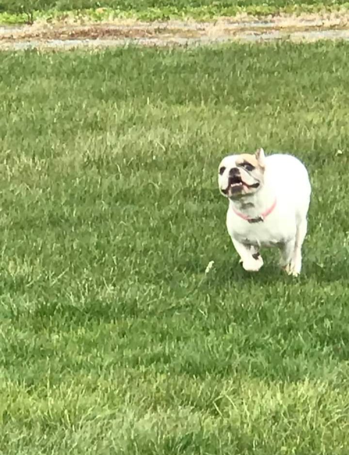 RevUrban's tweet photo. Get it Phoebe 😃 aka feebz https://t.co/v3FpUBeGlz
