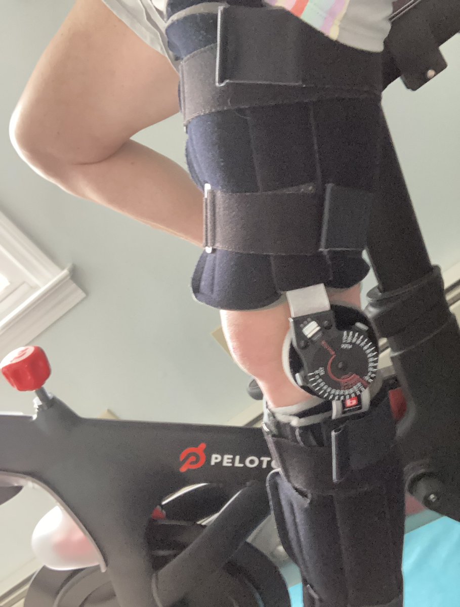 Catherine Carbone tweet media