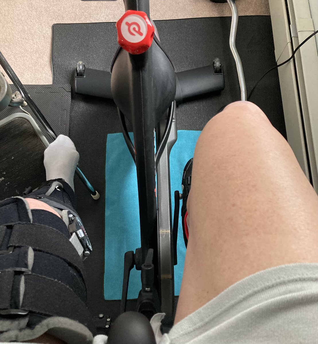 Catherine Carbone tweet media