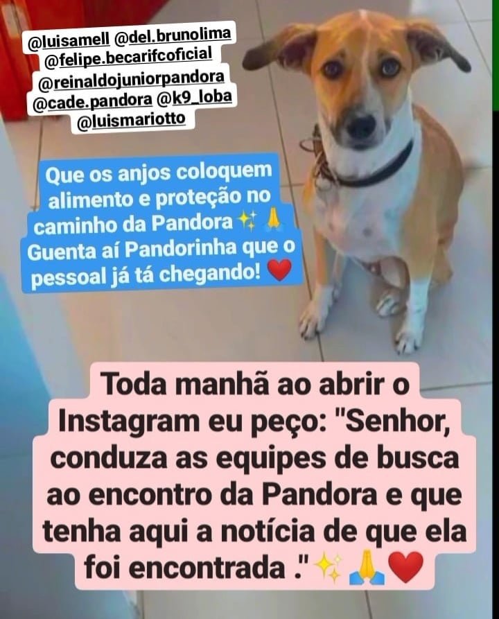 FehFerri's tweet photo. #golcadeapandora #Pandora #golmentirosa #cadeapandora https://t.co/askLCtMJKH