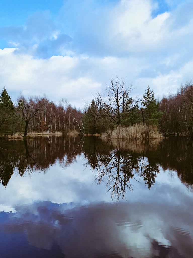 MartQL's tweet photo. First hike of the year. 17.5km

#NaturePhotography #hike #FolloMe https://t.co/0qvZixP6mr