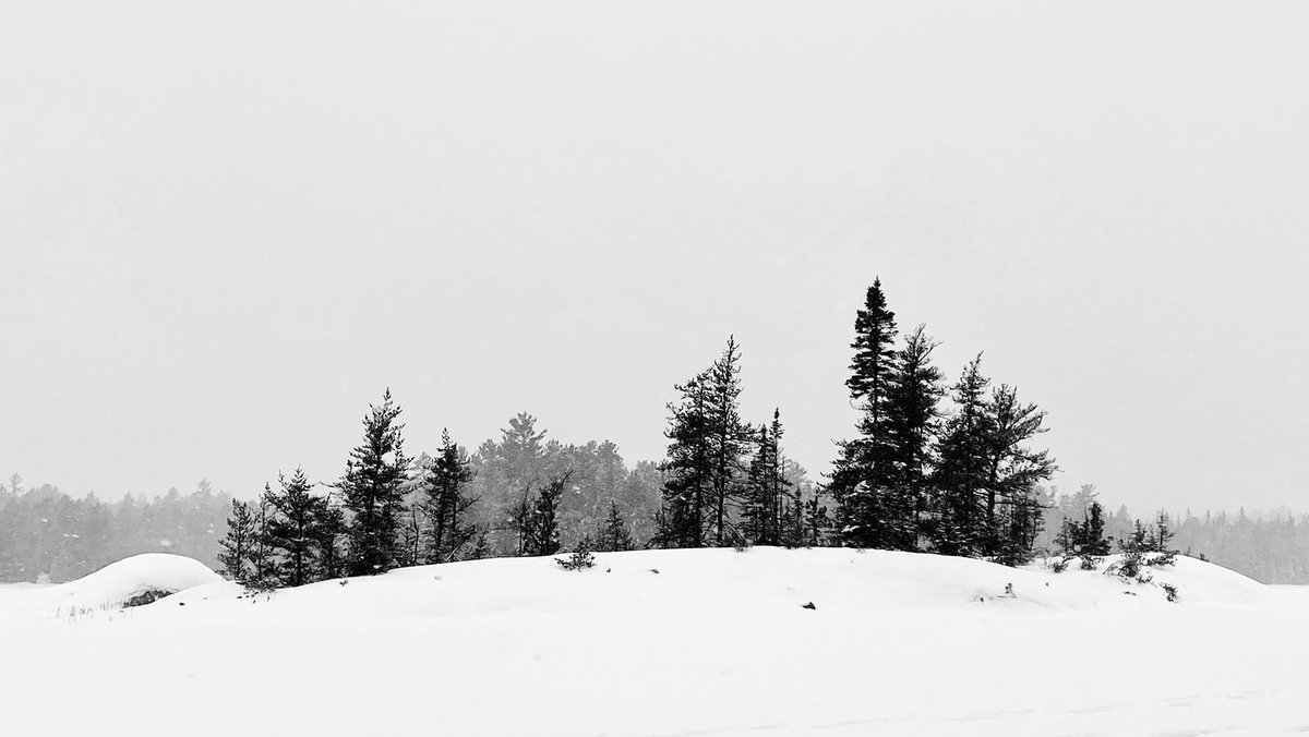 marykkeown's tweet photo. #Snowshoe #trek to #ParkinLake in #BlackAndWhite. The grey sky and flat light proved to be ideal for #MonochromePhotography. #NorthernOntario stuns. #TheWilds north of #Capreol are perfect for #exploration. Go with a full tank, maps and a buddy. It’s a long walk to cell service. https://t.co/nloIrxZCgm