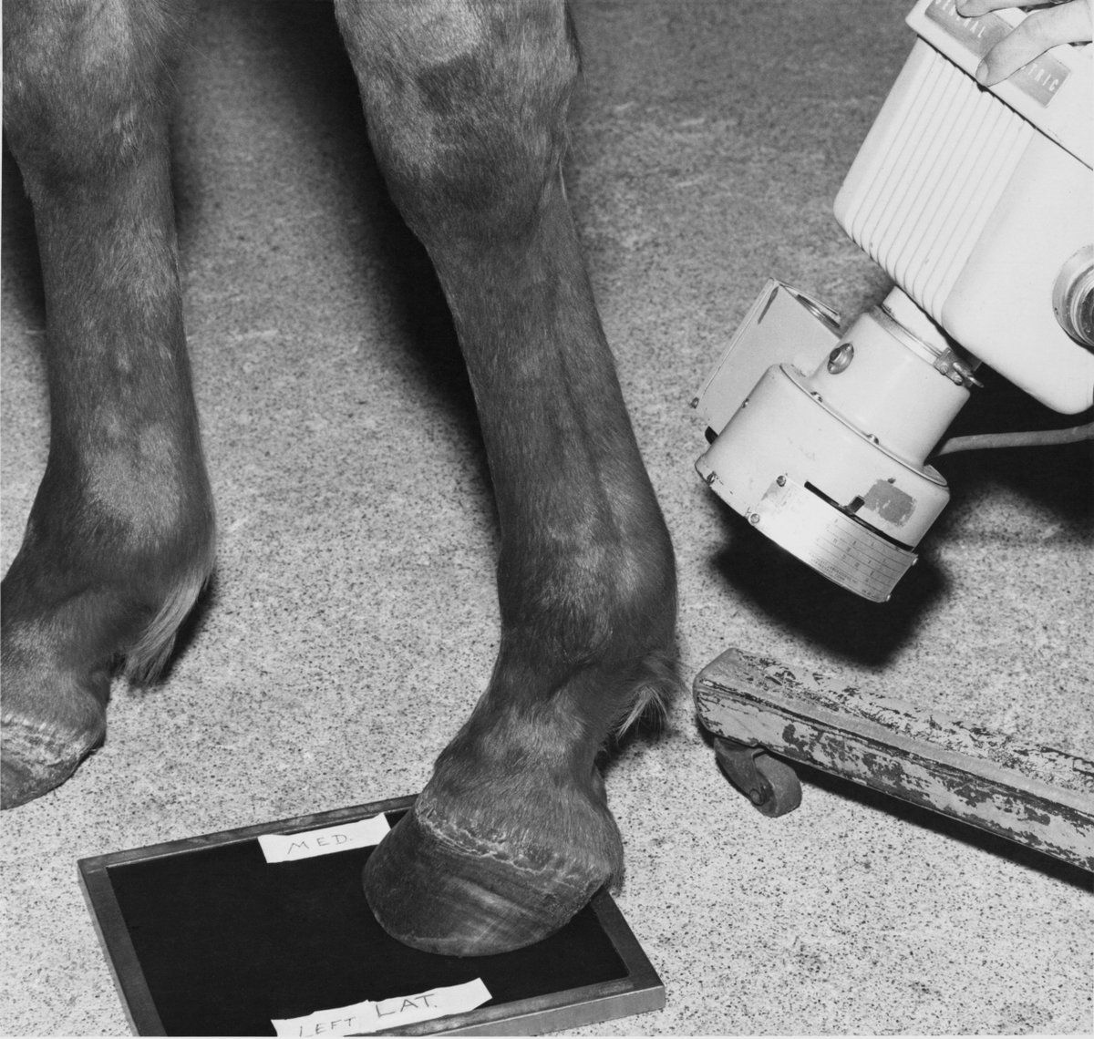 artukovicjosip's tweet photo. Each project of @sultan_larry has left a perpetual mark in the history of photography influencing the very development of the medium. Few are so significant and with such a rich artistic output. 

👁️Find an overview of his carer in @obscuradao contemporary-photography channel! https://t.co/bTdCmFkQL4