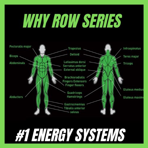 NiallOToole's tweet photo. Getting lots of questions in #CrewClass this week about benefits of rowing from #indoorrowing newbies so I'm reposting the WhyRow? blog about #energysystems we use when rowing and why it's such a great #calorie burner & #workout
https://t.co/KAOhmsmF3O
@RowingIreland @concept2 https://t.co/0RYUkk7pw8