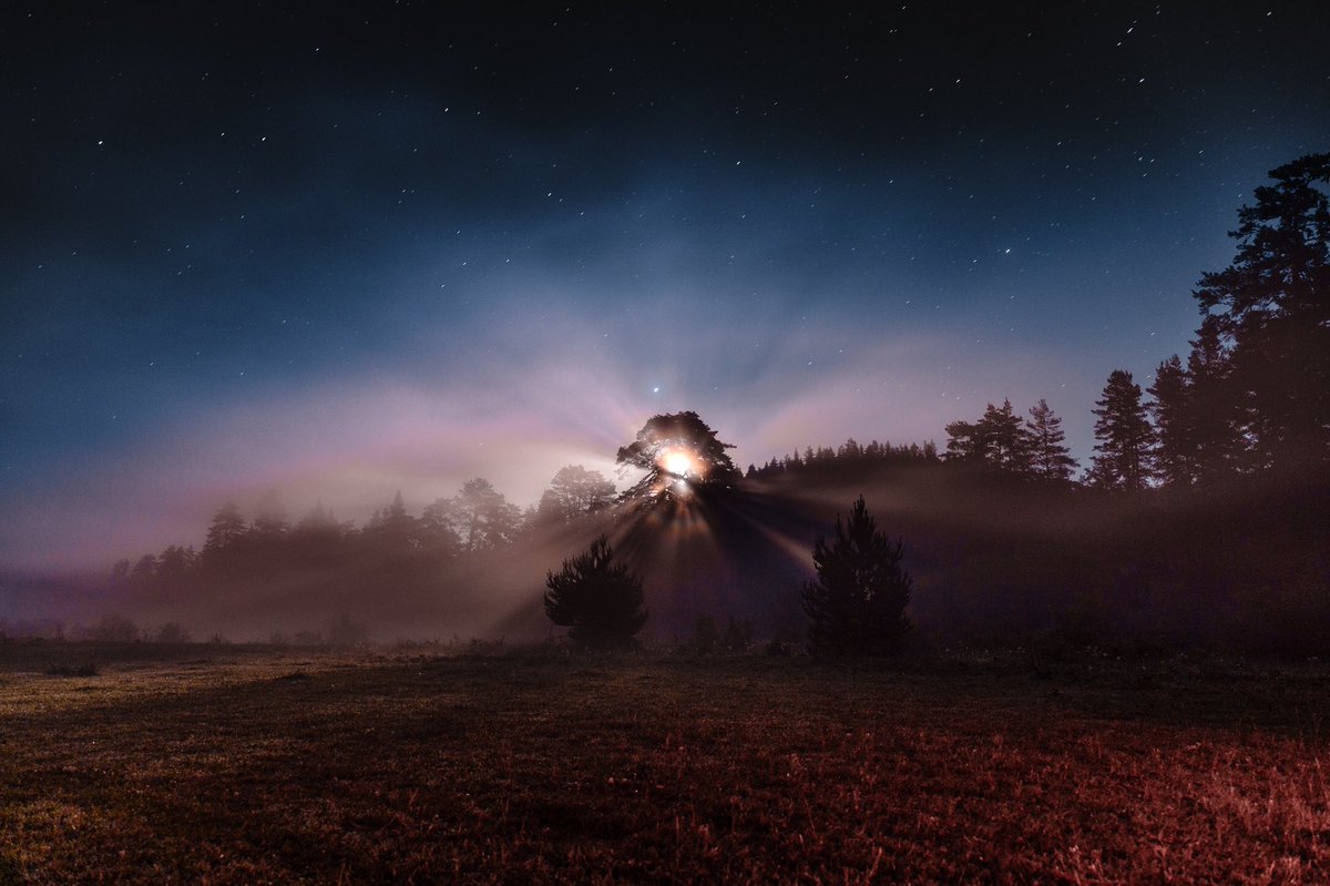 Gn 🌕✨

 #NFTCommunity #landscapephotography #photography