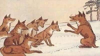 قال الثعلب لأبنائه  .
يا أولادي اسرقوا الدجاج من اي بيت في القرية  
ألا بيت شيخ الجامع إياكم والاقتراب منه  .
فقالوا الأبناء ولماذا  .؟
قال الأب لأنه سيصدر فتوى تحلل أكل لحم الثعالب  .