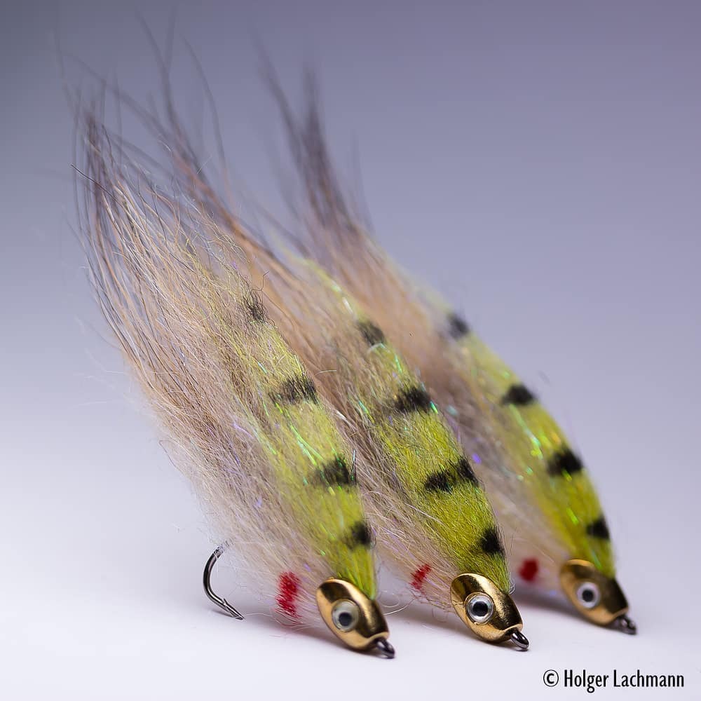 FlymenFishingCo's tweet photo. "LaSku Streamer. That's definitely one of my best/most productive streamer patterns." Tied with some #FishSkull Baitfish Heads 📷: @holgerlachmann
.
.
.
#flytying #flyfishing #tyingflies #flugbindning #fluebinding #montajedemoscas #flymenfishingco #streamerjunkie #streamerfi… https://t.co/dRREbYIgJt