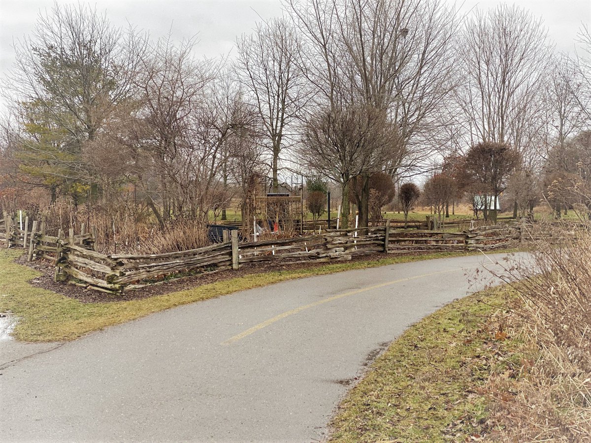 Exploring the #localtrails in my community with my pal for the day, Stella. Today's adventure starts at Roenigk Dr., in #Bowmanville, and ends at Spry Ave. A brisk 45 minute walk on this mild, January day is a perfect pick-me-up.

#livelocal #livehealthy #localpride #Ontario
