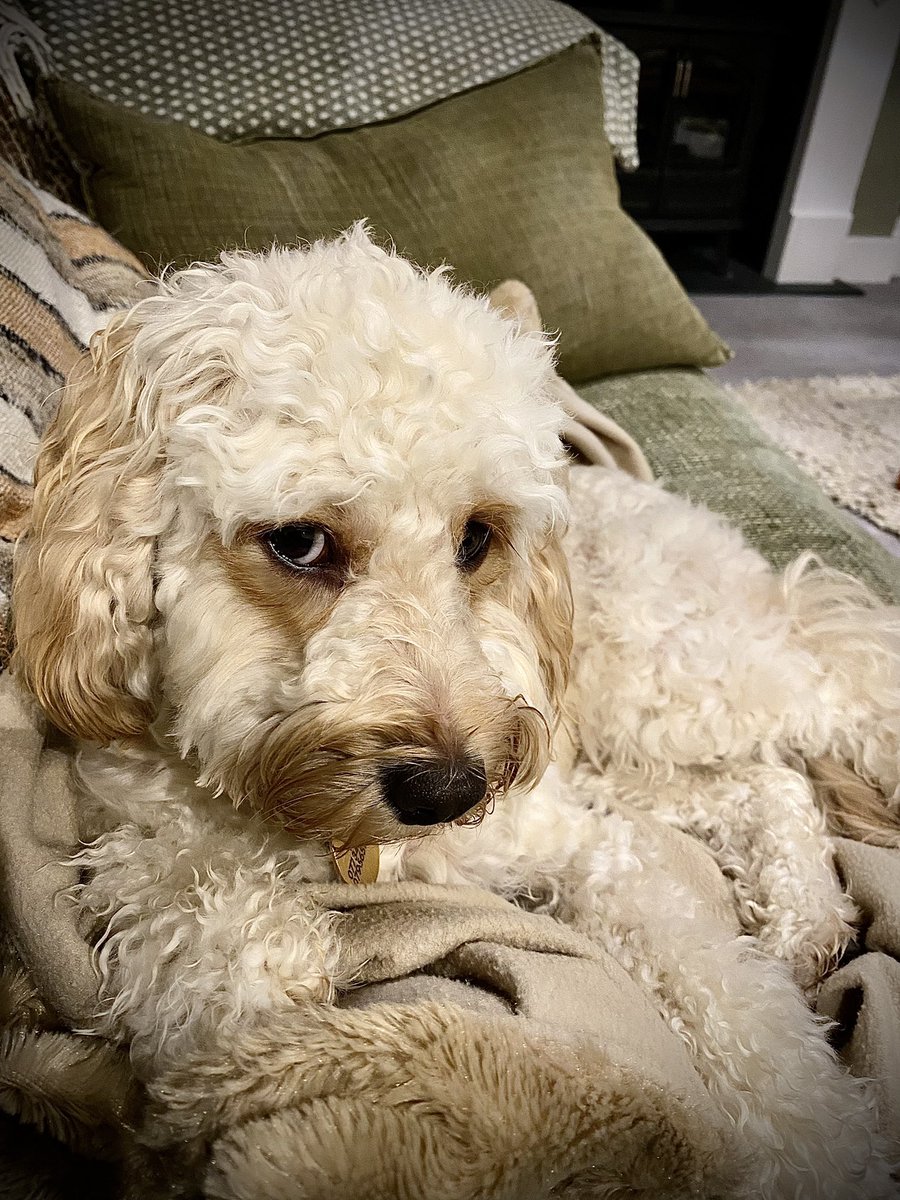 This is my spot. Don’t even think about moving me.