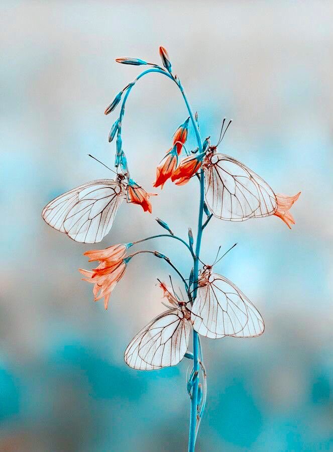 RAJ (@pcm23m) on Twitter photo 