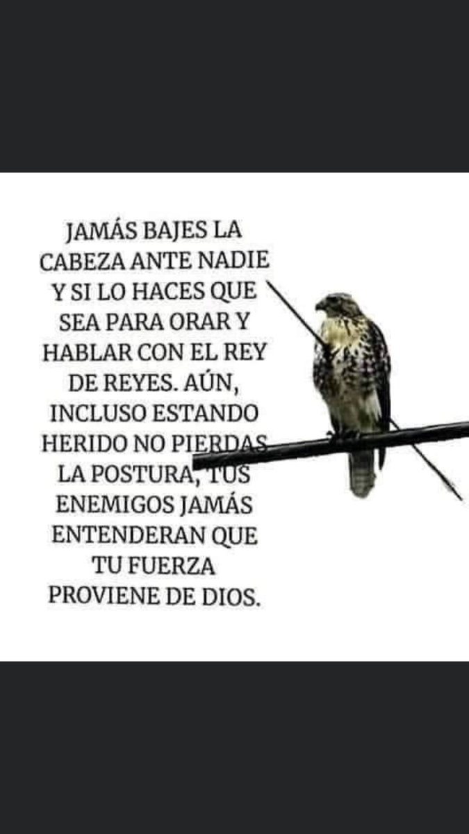 amadeusgarca1's tweet photo. Un gran Aplauso, aquellos que saben transmitir y E Inspirarse para poder escribir estas Lindas frases #SimplementeBella https://t.co/40itlx84ru