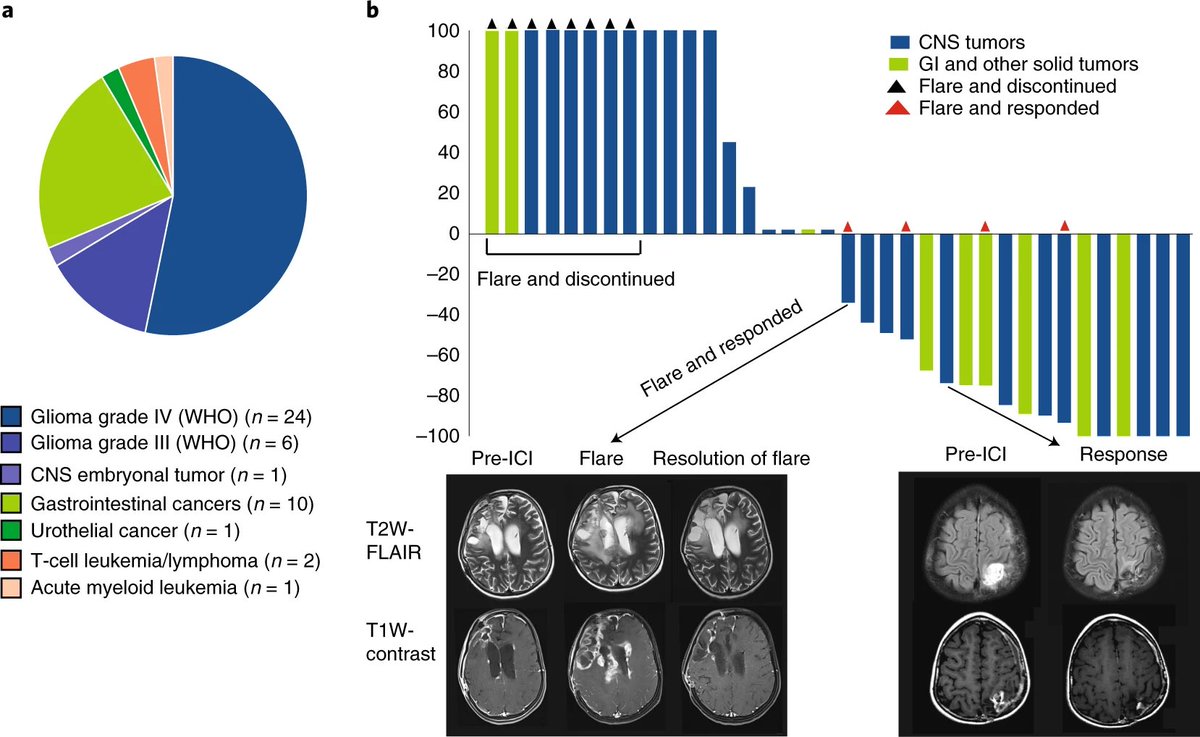 VivekSubbiah's tweet photo. ⭐️🚨Genomic predictors of response to PD-1 inhibition in children with germline DNA replication repair deficiency @NatureMedicine @OncoAlert #PrecisionMedicine 
https://t.co/9qGjQzDnRQ https://t.co/K6GCXSJozL