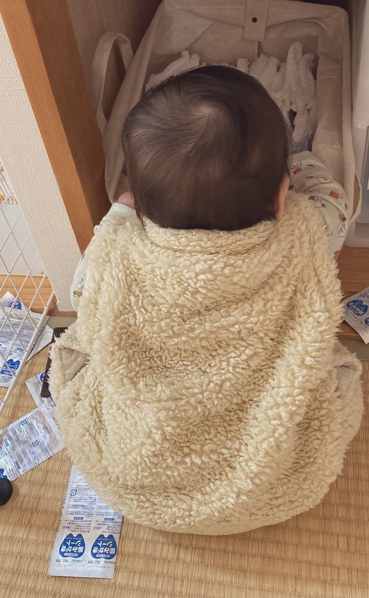 YOKO40200305's tweet photo. 1月10日①

絶賛イタズラ中👶♪♪

いつもは、襖を閉めてイタズラされないようにしてますが、たまにはね🤣💦

🌺相互RT募集中🌺▶️@BANDE0821まで

#MissBouquet 
#ミクチャ　
#松花堂ウエディング
#育児　#10ヶ月 #イタズラ #そういうお年頃 https://t.co/0US1LcTurG
