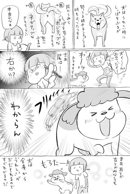 漫画 嬉しい時 犬の尻尾は右振り 猫の利き手は左 チェックしてみると 結論 どっちでも可愛い まいどなニュース