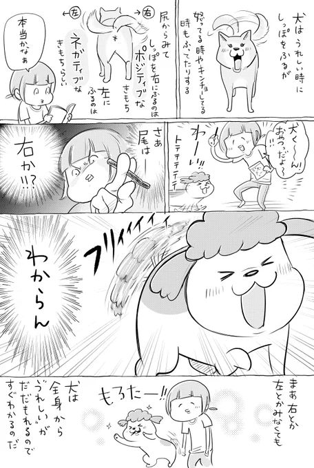 犬と猫どっちも飼ってると、右か左かでけっこうおもろい 