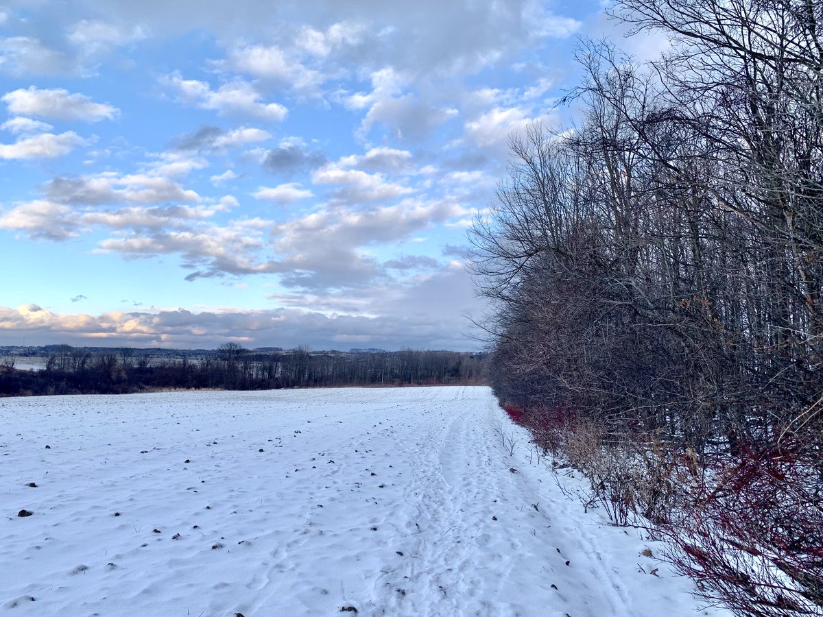 eugene_vin's tweet photo. Walking out & about @TownofNewmarket #DenneWoodlot #winter with just a dusting of #snow and in need of more to reach a state of #typicity #1picadayforfun https://t.co/aOnZZOaQBx
