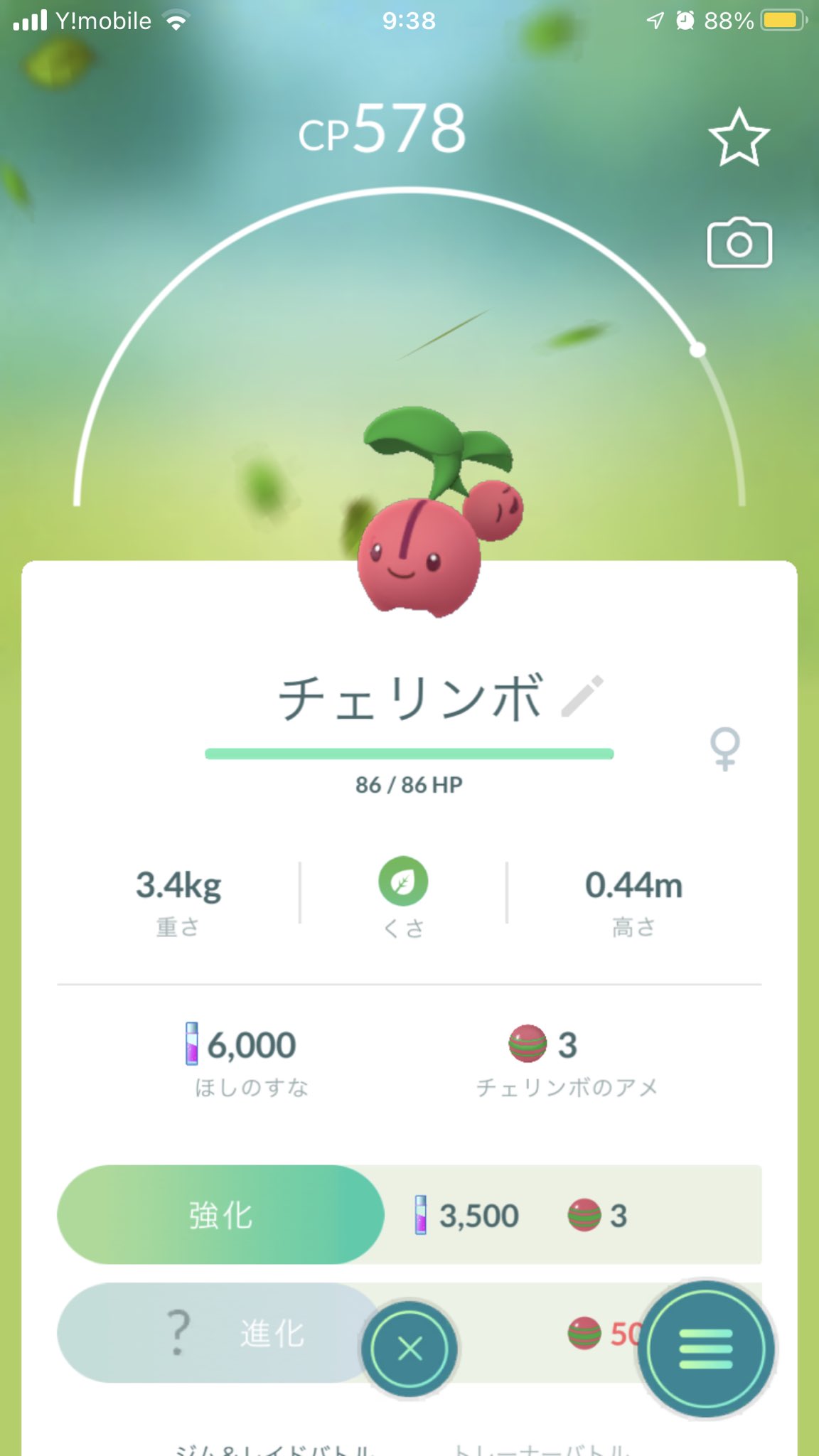 Mai Mia ポケモンgoでチェリンボをgetしました 野生です 可愛い子がいる と思ってgetしたら そこそこレアだったらしいです ポケモンgo チェリンボ ポケgo 野生のチェリンボ T Co Qrfqgl8mqq Twitter