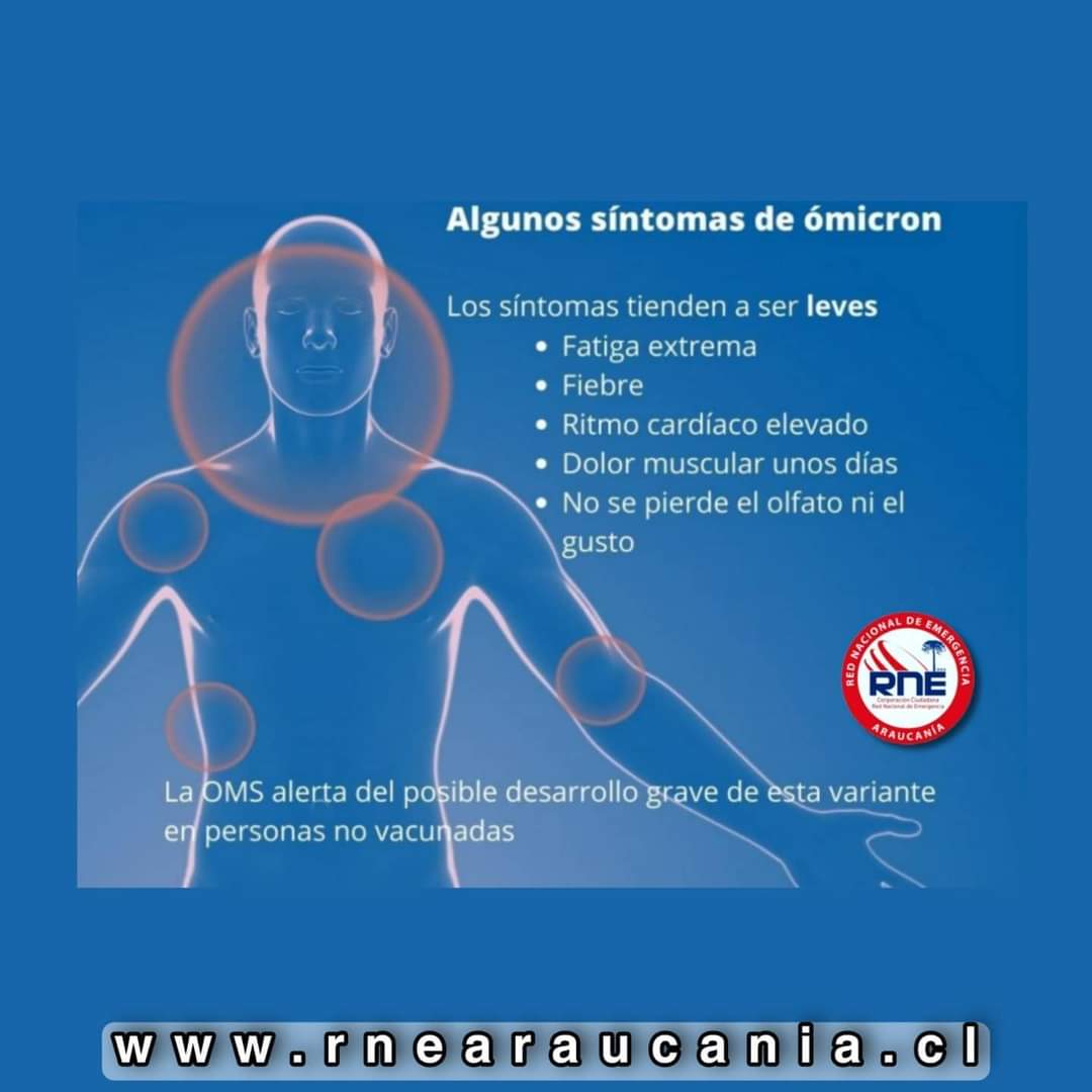 RNEAraucania's tweet photo. De los síntomas más importantes de la nueva variante #Omicron 🦠
#PrepáratePiensaActúa
#TodosSomosRne
#Araucanía
#RneWeb
🌐https://t.co/VA7TT84sfQ 🇨🇱 https://t.co/x2ndvGHFii