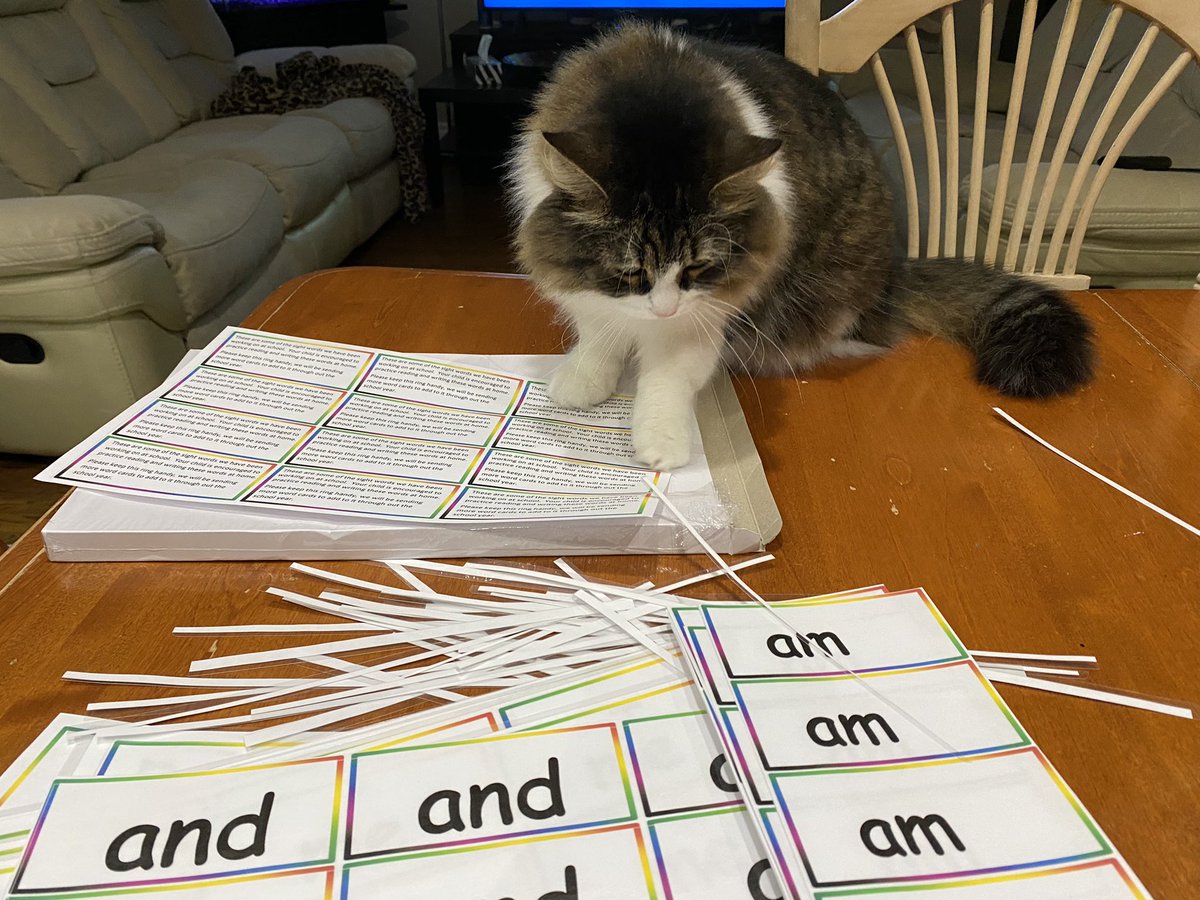 Rita Rabcaniak tweet media