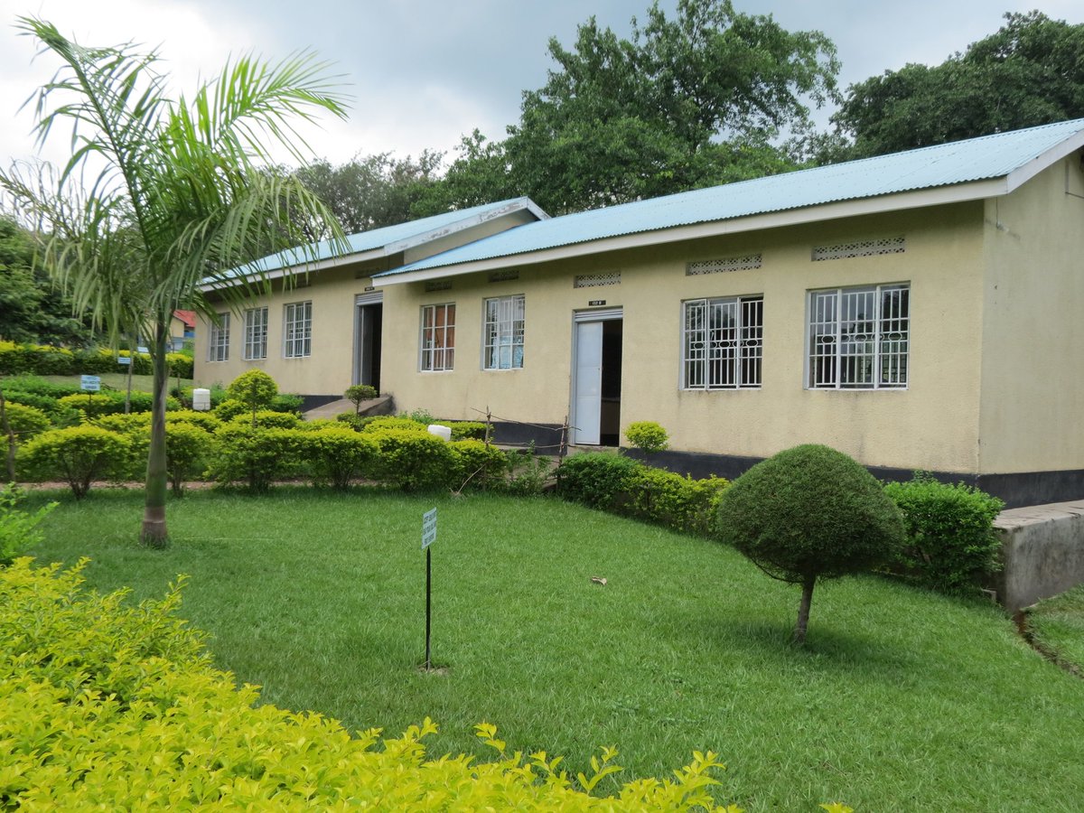 KARUDEC1965's tweet photo. Attention 👇
KAGANDO SCHOOL OF ALLIED HEALTH SCIENCES
The hospital started training laboratory microscopists in 1970’s and in 1994, started training laboratory attendants who would be given a certificate. Presently more bigger things are happening https://t.co/a4bfsnS8Jm
