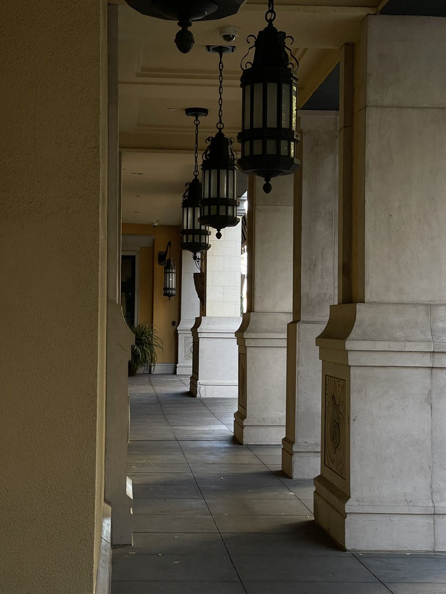 steven quốc võ (@thgquoc) on Twitter photo 