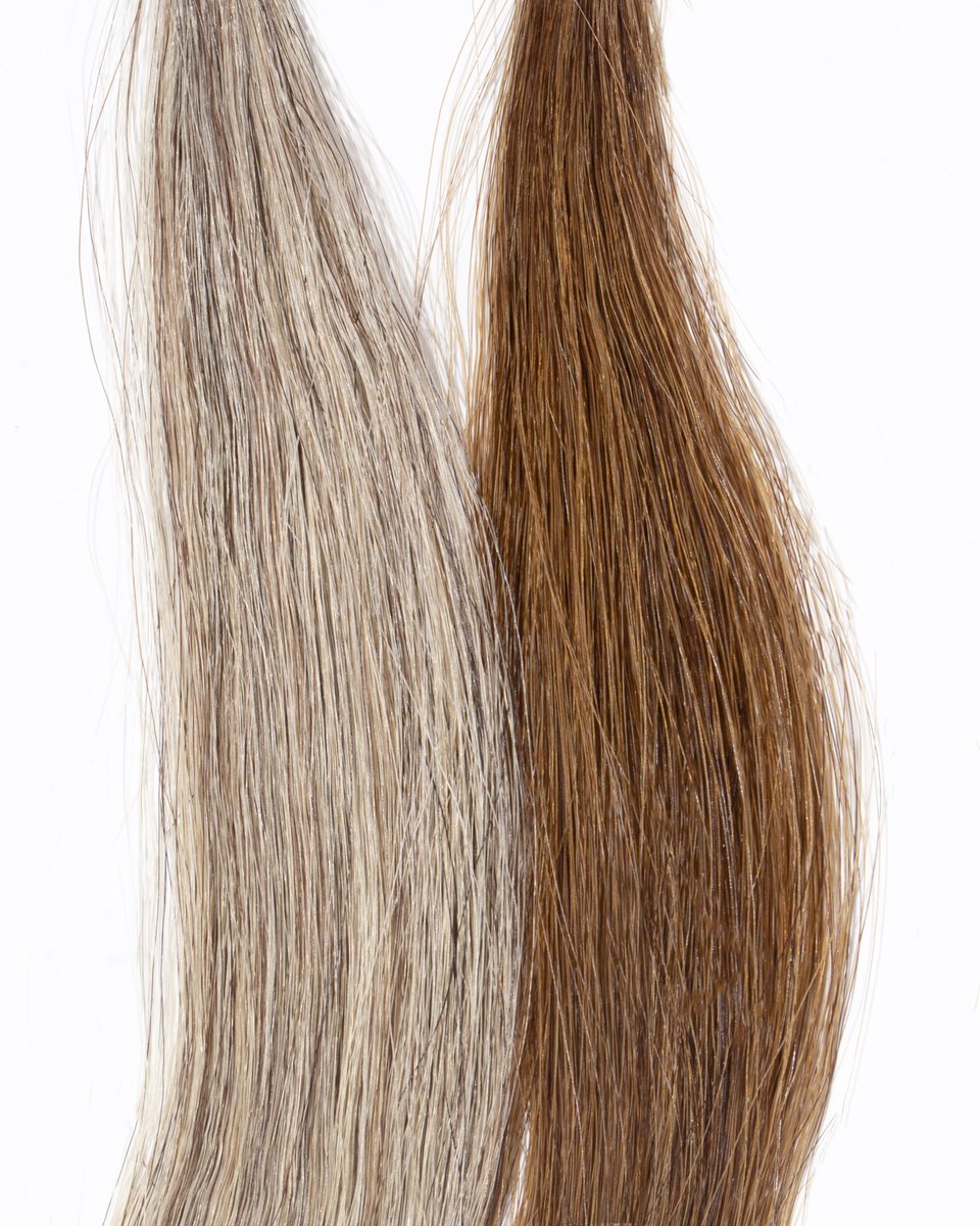 BEFORE &amp; AFTER: #KenraColor Monochrome 😱Who is obsessed with the gray coverage our Monochrome Collection gives?! All N+ &amp; NW+ shades provide up to 100% gray coverage! 

Shade Featured: Monochrome 8NW+