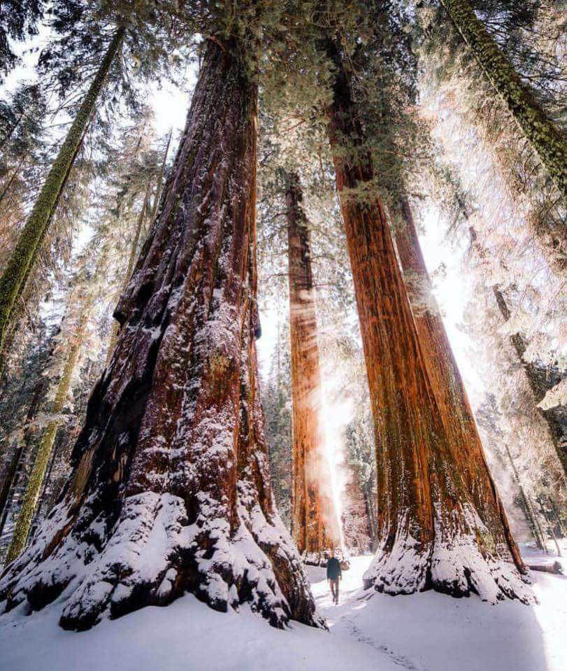 serendipity4733's tweet photo. @TimberDental how could i resist sharing this stunning photo with TD crew?! https://t.co/5TLhqH1K6u