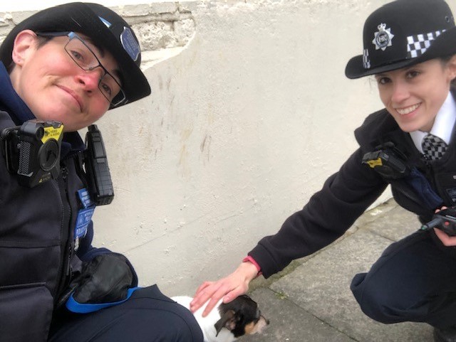 MPSGlyndon's tweet photo. A sad day as the Glyndon team say goodbye to PC Teresa.  She has walked her last beat of Glyndon ward &amp; has served the team well over the last 2 yrs. Thank you we wish you every success with your new role in CID 👮‍♀️ #GoodbyeT https://t.co/gLTNxWSfHM