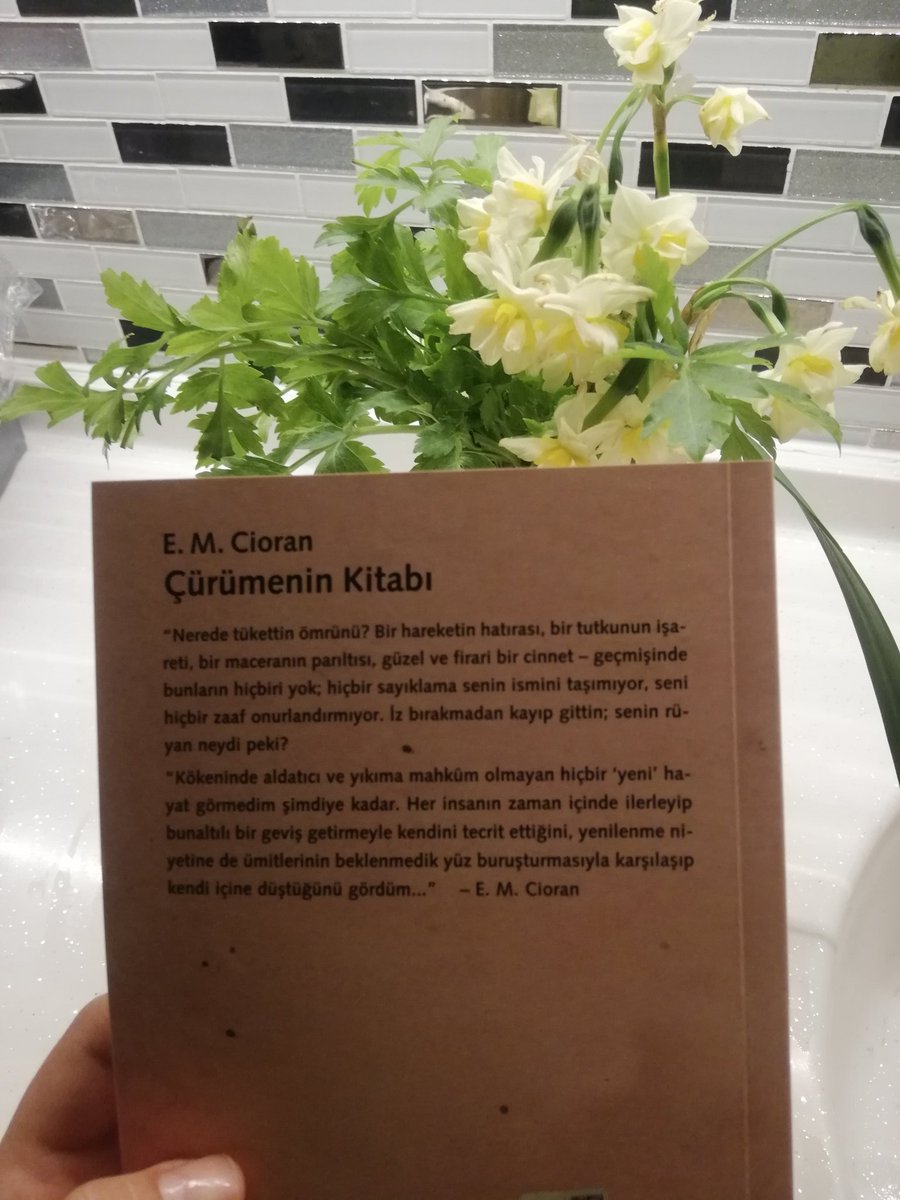 Hill (@safiizarar) on Twitter photo 