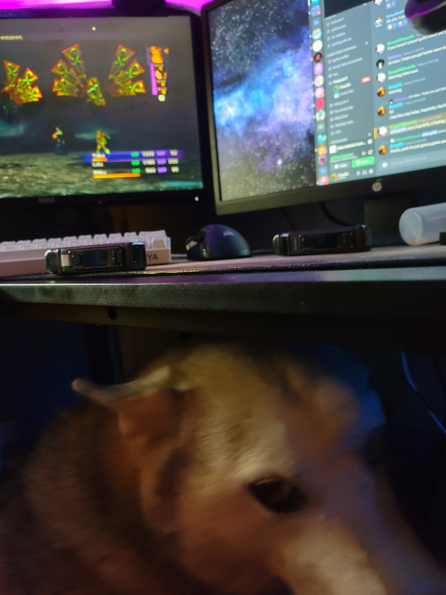 DcoyConvicte's tweet photo. Sick with COVID. Relaxing playing final fantasy 10..with the support of my girl Ozzie XD (she's protecting me from the fiends) . #gamers #Huskies #DogsofTwittter https://t.co/7QWKHT7Uc2