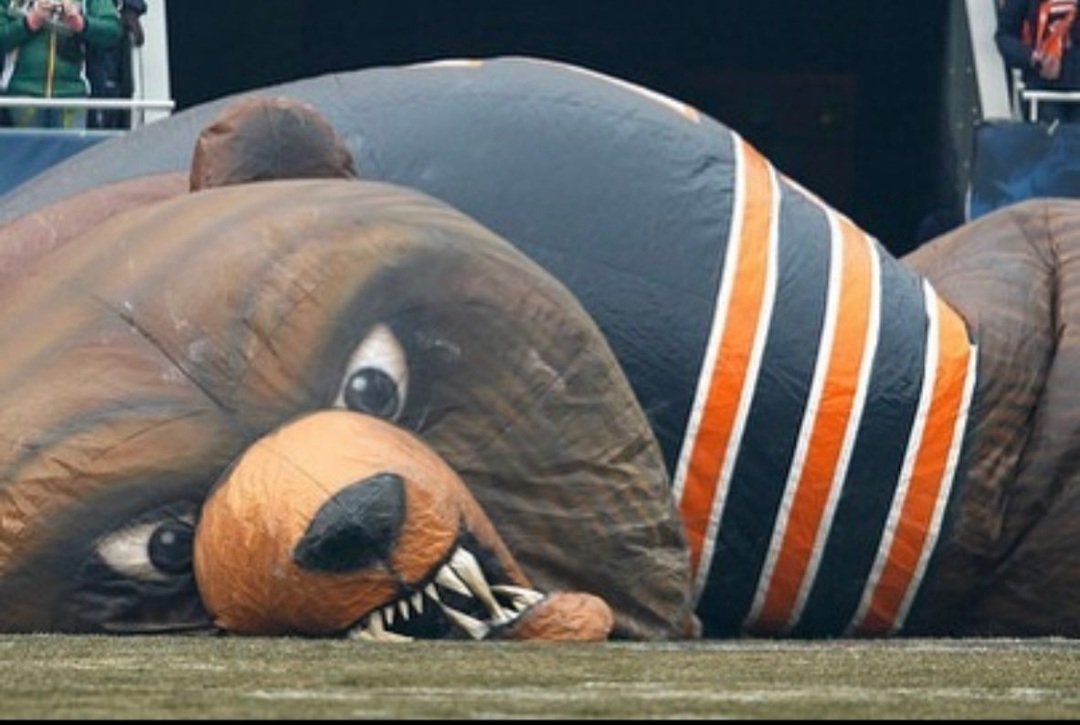 IRebootDaily's tweet photo. Nuff' said about this year, but loyal to my dying day... @ChicagoBears https://t.co/Aqudq7DYJH