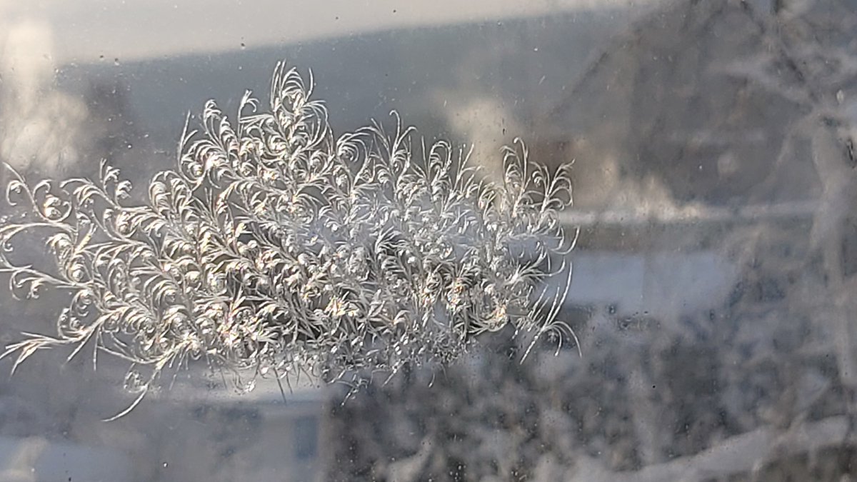 neil_dav's tweet photo. organic ice growth in the window, it was cold. #iceforms https://t.co/o25vc6vIci