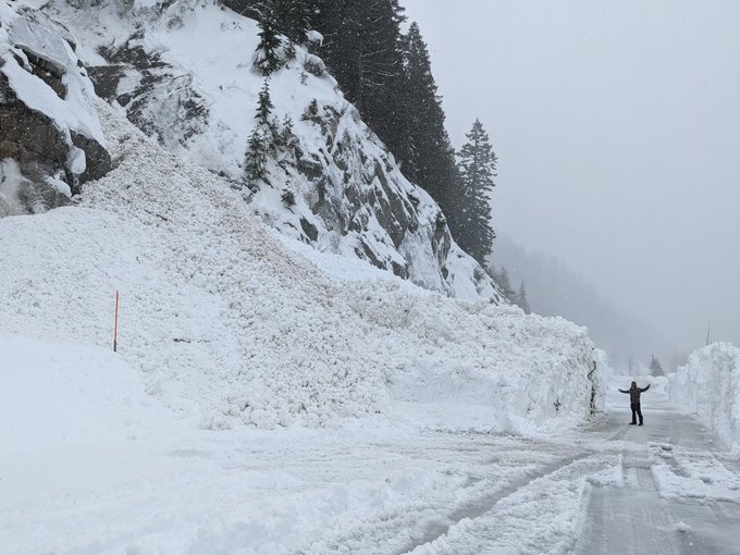 A avalanche crew member stands in the cleared section near a stabilized snow slide for size reference on US 2 Stevens Pass.