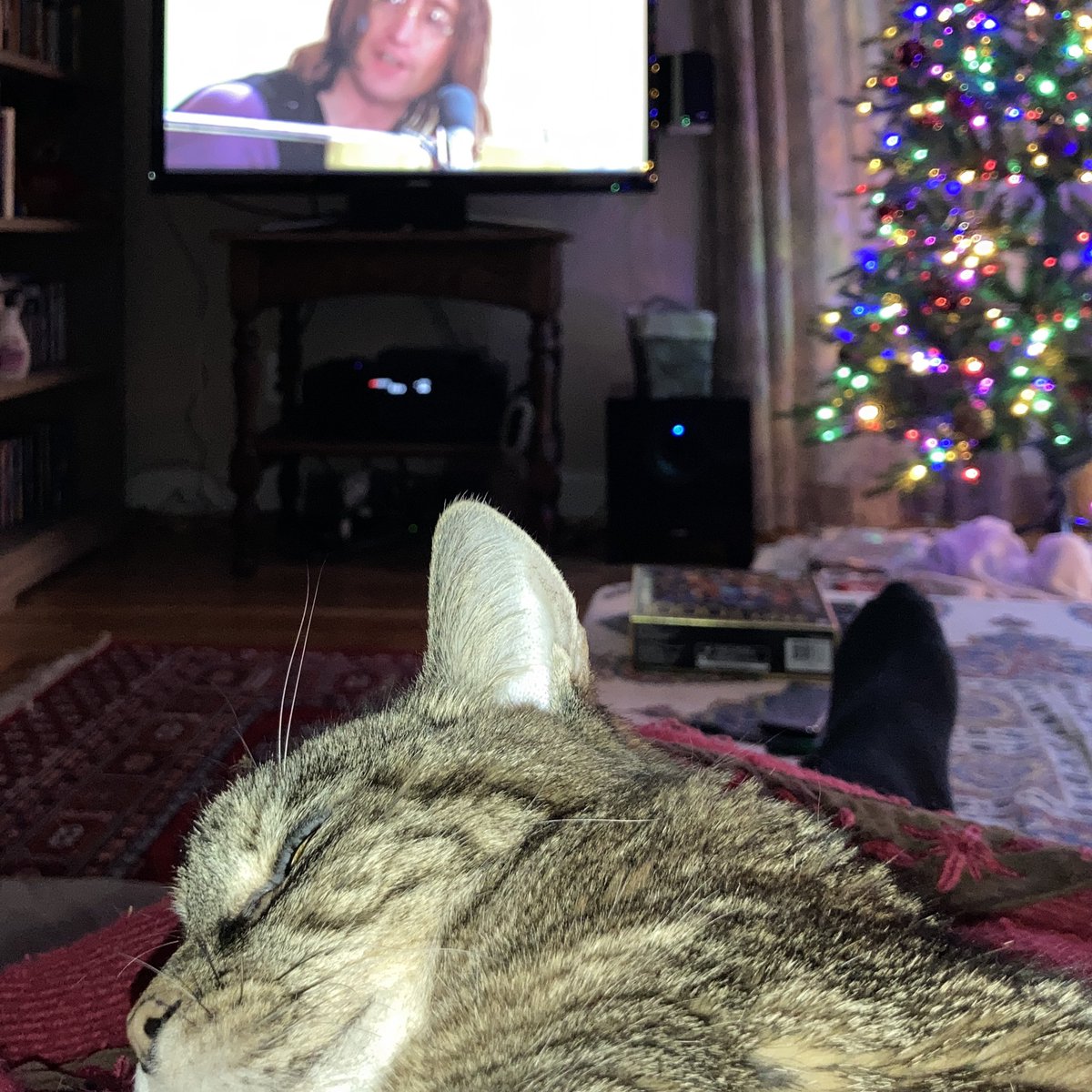 RJMolavi's tweet photo. What a luxury to be a fly on the wall with @theBeatles in 1969 London, from the comfort of my sofa under warm blanket and purring cat on this otherwise dreary January afternoon. Captivating and simply wonderful. #theBeatlesGetBack #theBeatles https://t.co/k4Ob7r9nuB