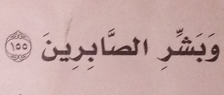 tr_ar9's tweet photo. دا اقرا اسلاميه وتذكرت جماعة الدور الثالث
اكيد الله مراح ينسانه🫂🫂❤
#الاثنين_مظاهره_الدور_الثالث https://t.co/HqOTcwFcT9