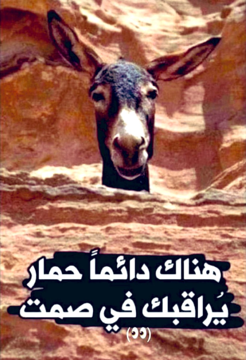 بعد تشكيل النقابة في حمار يراقب بصمت 🦒 #القطاع_النفطي