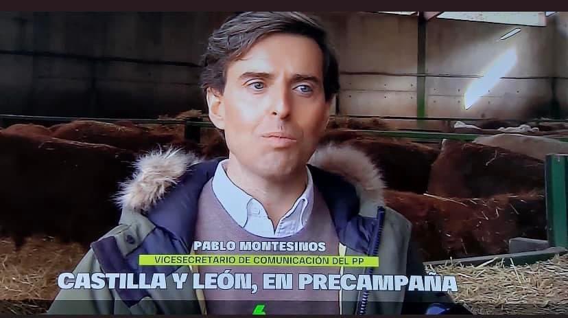 Oye <a href="/montesinospablo/">Pablo Montesinos</a> nos tomas por idiotas? Sacaste el escaño por Málaga y nunca mas volviste ¿Te ha mandado tu jefe a hacerte unas fotos con las vacas ? Límpiate los castellanos antes de irte , la manera de tomarle el pelo a la gente estos genoveses de la Caja B