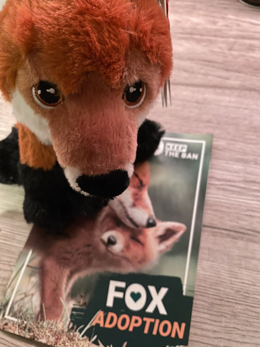 Glad to be a small (and ever-growing) part of this great team. Let’s do right by these amazing sentient beings who deserve just as many rights living as we do 🦊