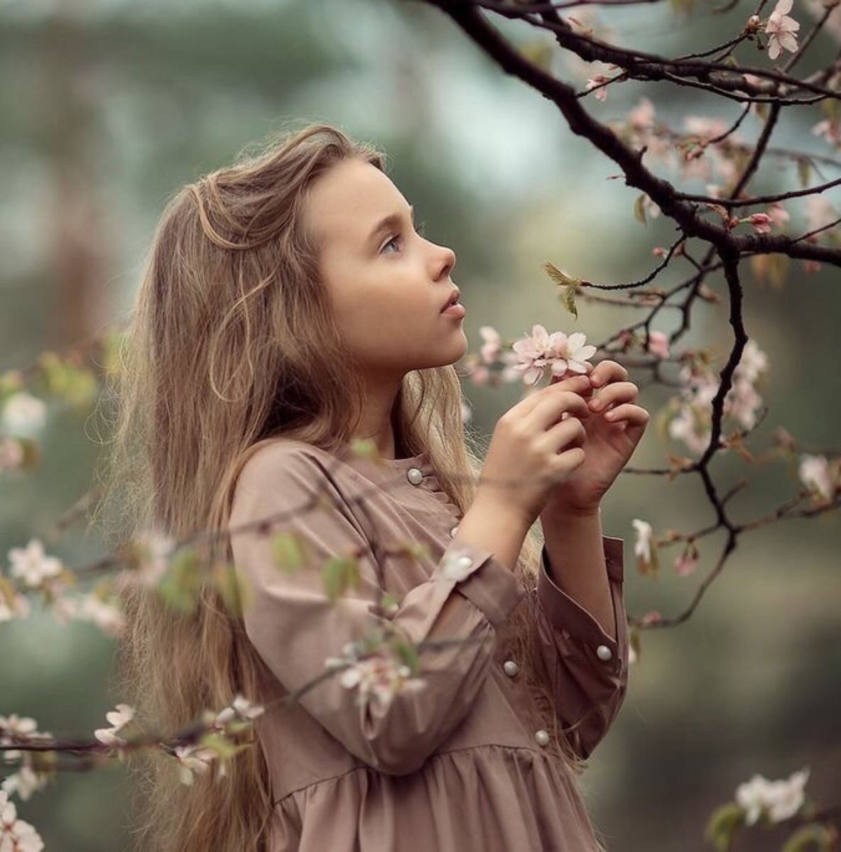 AnhelodeLuz's tweet photo. Eres importante para Dios…
porque eres la niña de sus ojos. https://t.co/5Bf7dq4mys