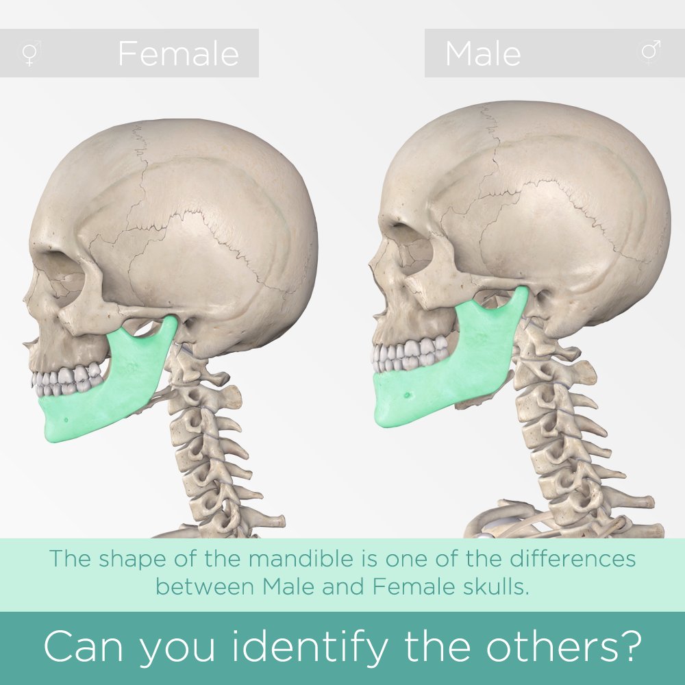 معاذ عيد (Muath_VG) Twitter