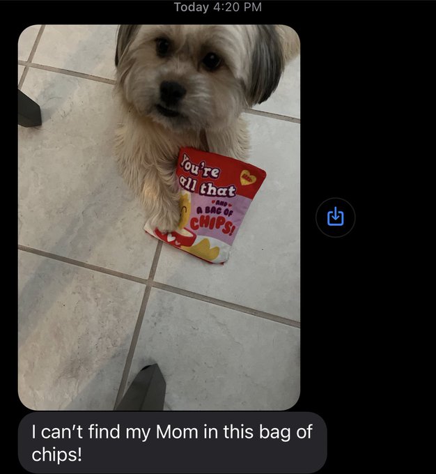 My mom had the jokes https://t.co/eZB1IfaZOb