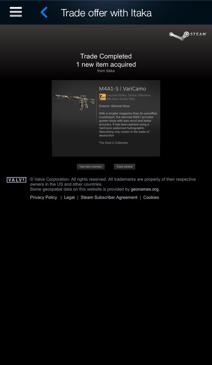 alionked tweet media