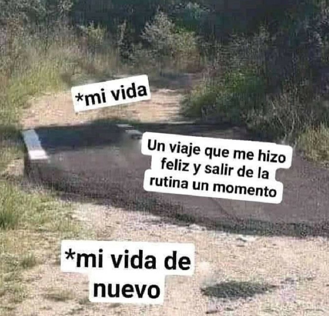 piña sin pizza (@skereunpesado) on Twitter photo 