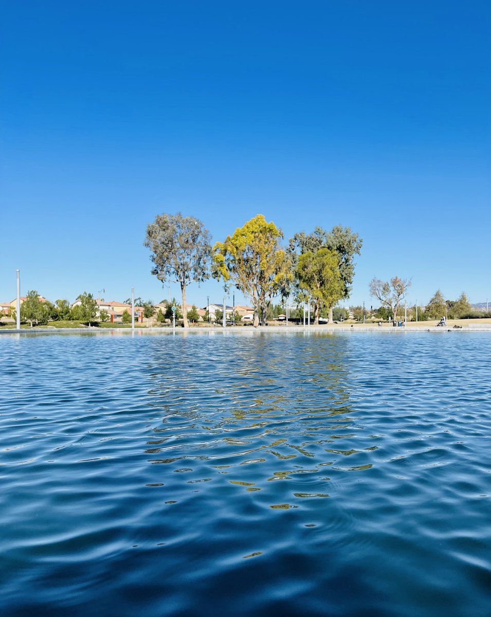 Just another sunny #SoCal #Sunday ☀️