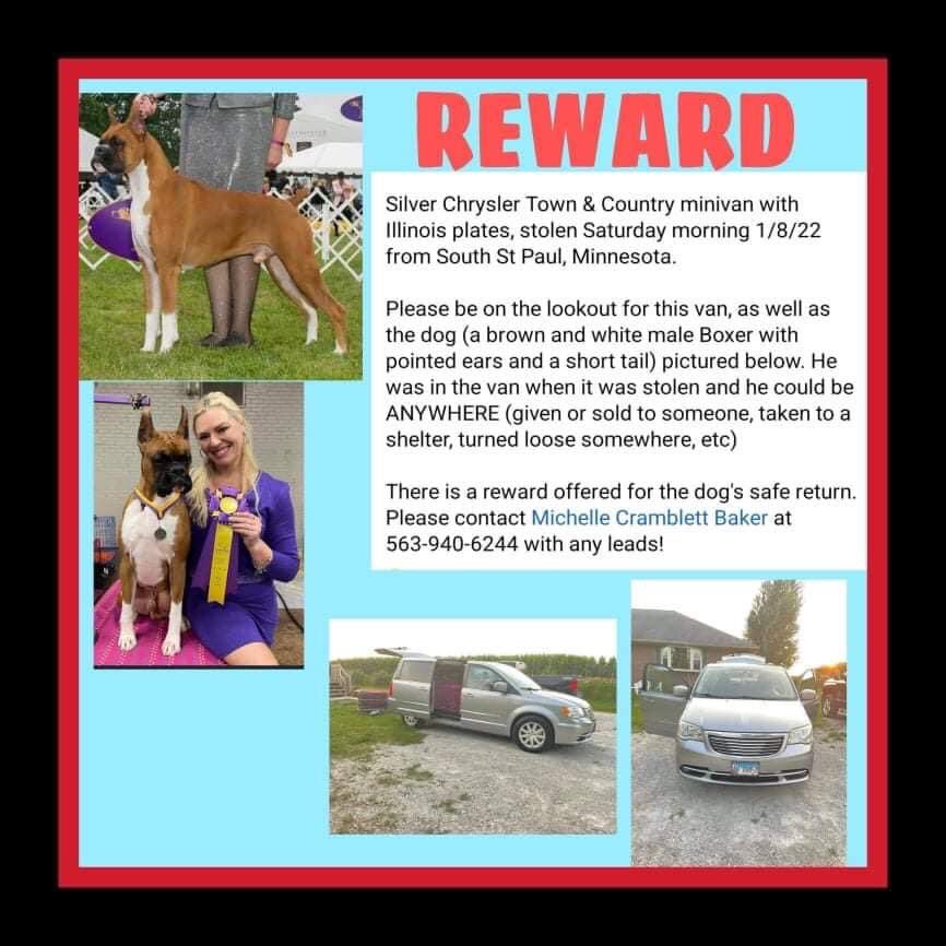 maribublitz's tweet photo. @sppdmn #LostDog #boxer https://t.co/1yAB6dQt0i
