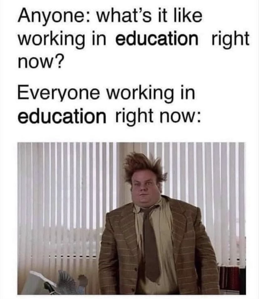 Pretty much!