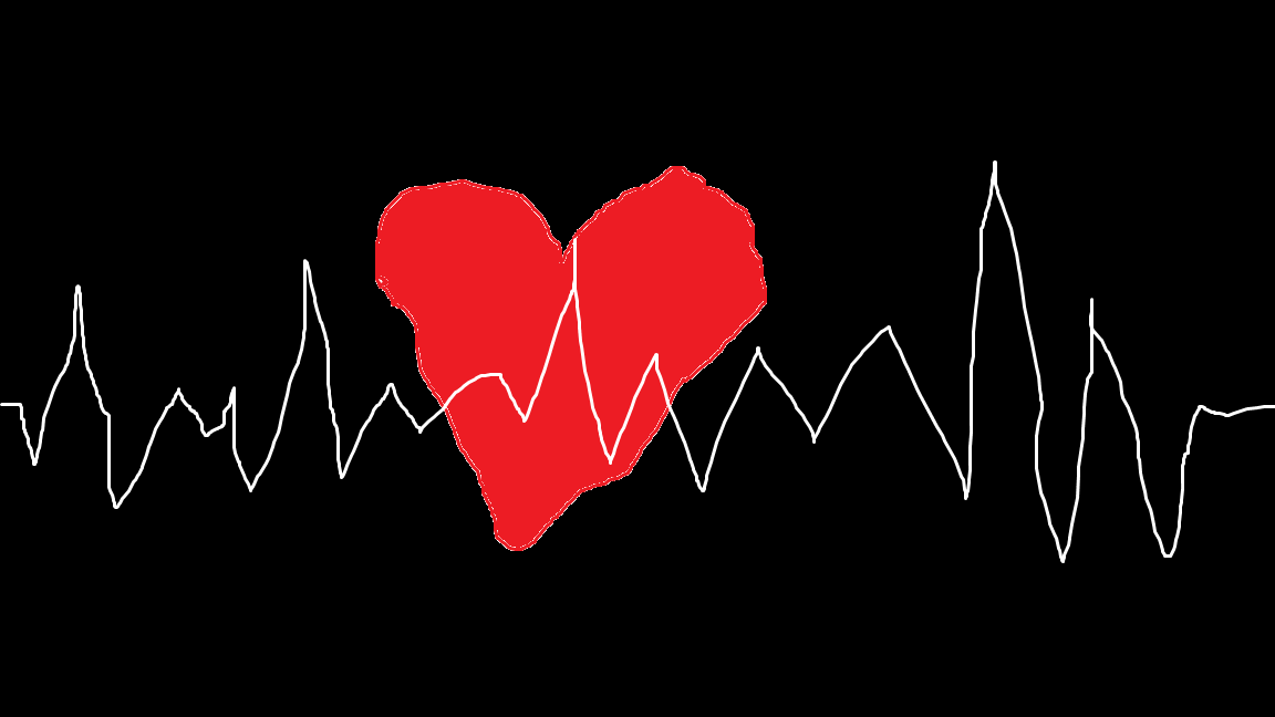 Steve's Art and Cacti tweet media