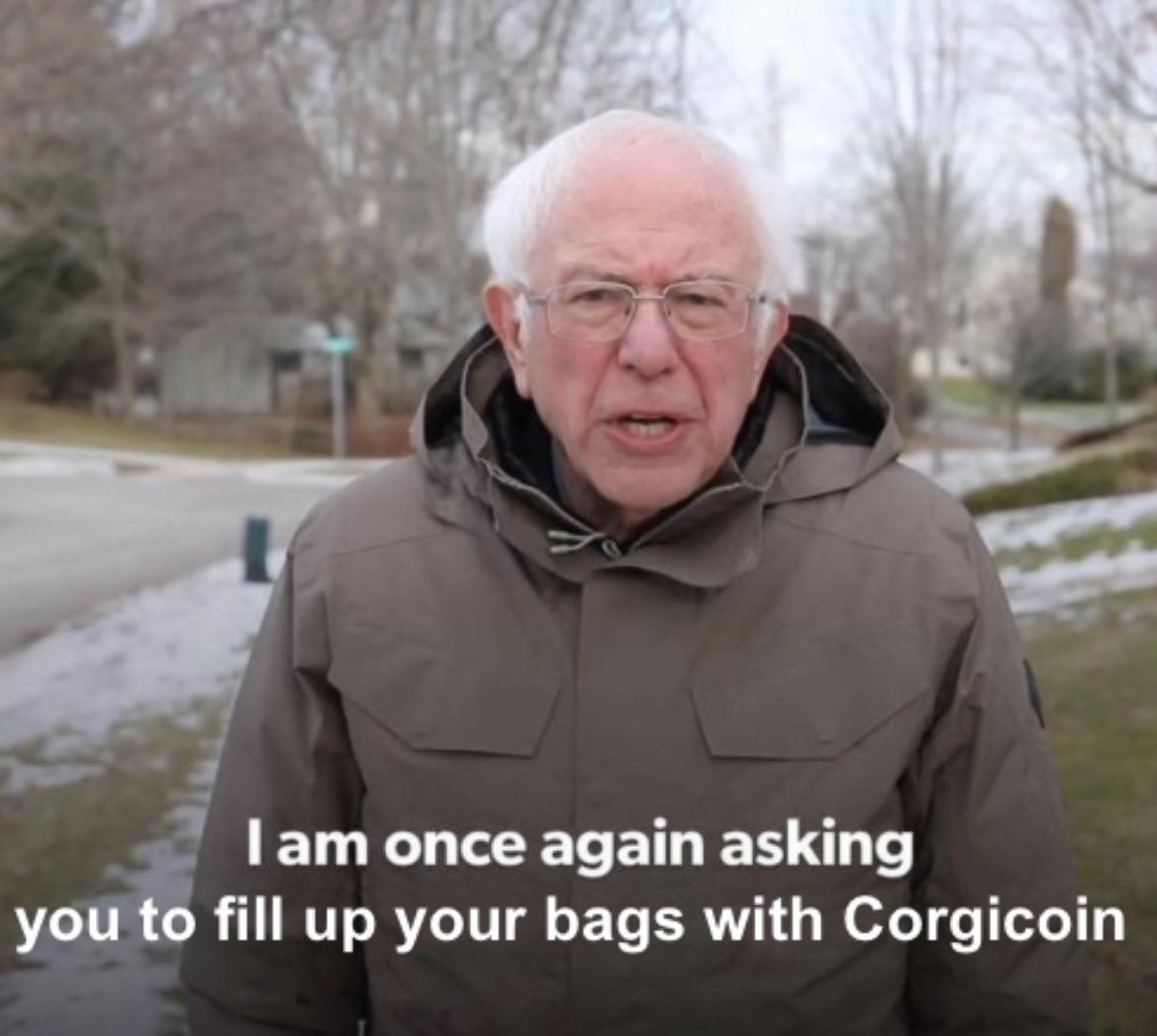 corgi_express's tweet image. Whenever the market dumps: 🤣🚀

#Corgicoin #Bullish #ALTSEASON #altcoins #BitcoinCrash #buythedip #HODL