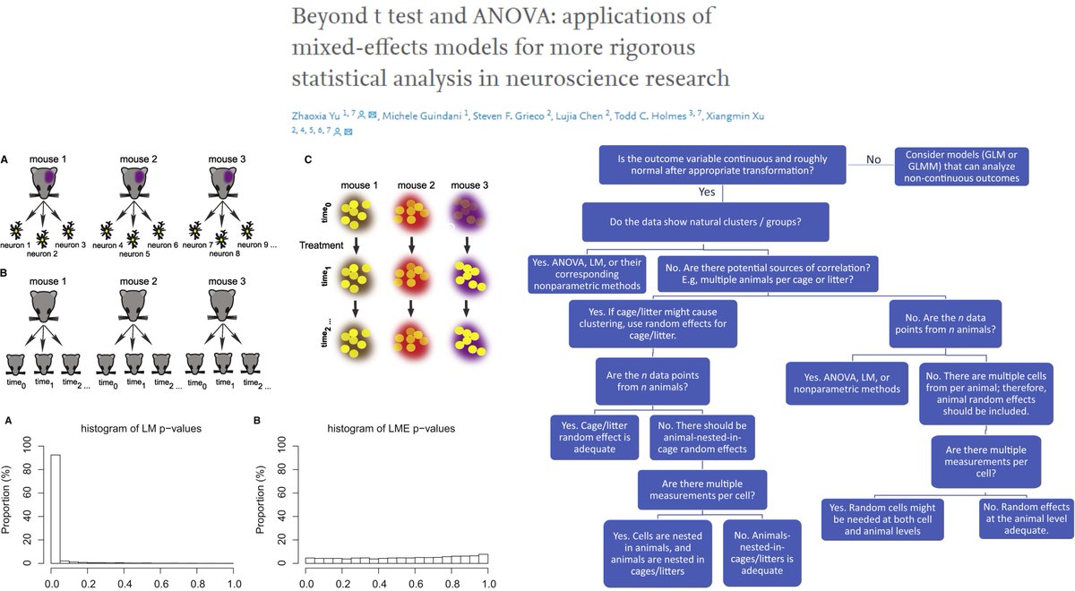 HaoYin20's tweet image. Beyond t-test/ANOVA: Mixed-effects models for more rigorous statistical analysis

#LinearMixedModel #GeneralizedLinearMixedModel

&quot;A readable primer to ... experimentalist&quot;

Very satisfactory reading😋

Dr Zhaoxia Yu &amp;amp; Xiangmin Xu labs @NeuroCellPress 2022
sciencedirect.com/science/articl…
