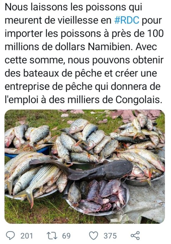 ActivisteCongo1's tweet photo. Si le Congolais ne se soulève pas c'est l'esclavage total https://t.co/zlhgNOAryb